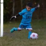 VERANO - OTOÑO 2024 (1)